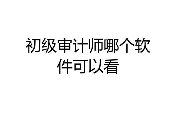 初级审计师哪个软件可以看