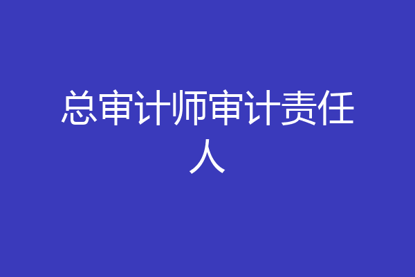 总审计师审计责任人