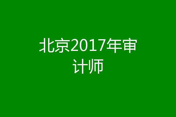 北京2017年审计师