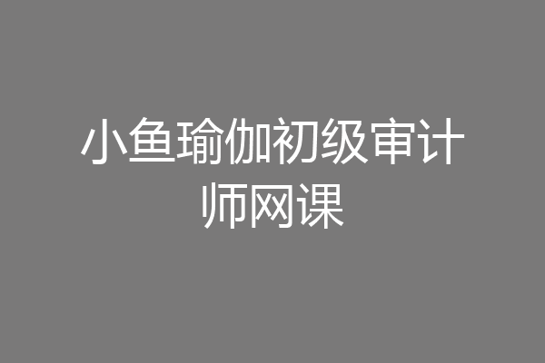小鱼瑜伽初级审计师网课