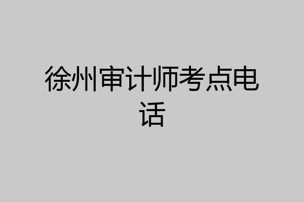 徐州审计师考点电话