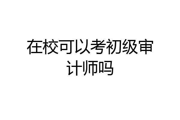 在校可以考初级审计师吗