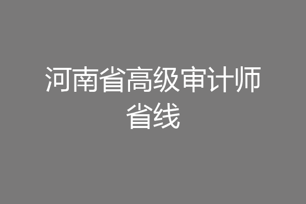 河南省高级审计师省线