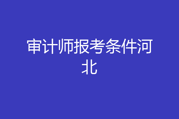 审计师报考条件河北