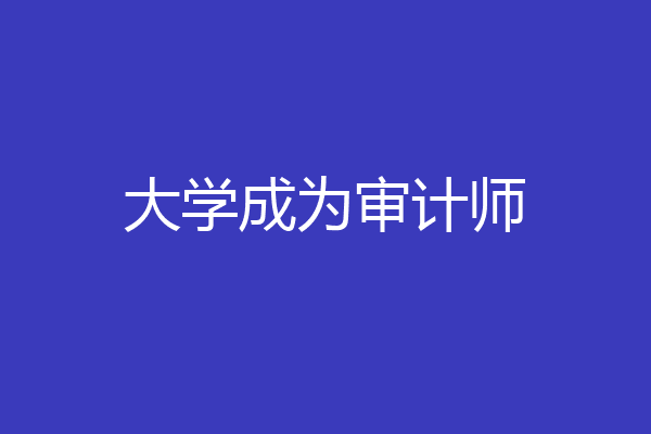 大学成为审计师