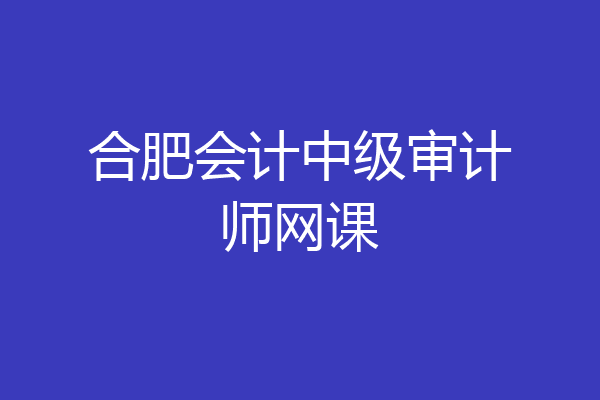 合肥会计中级审计师网课