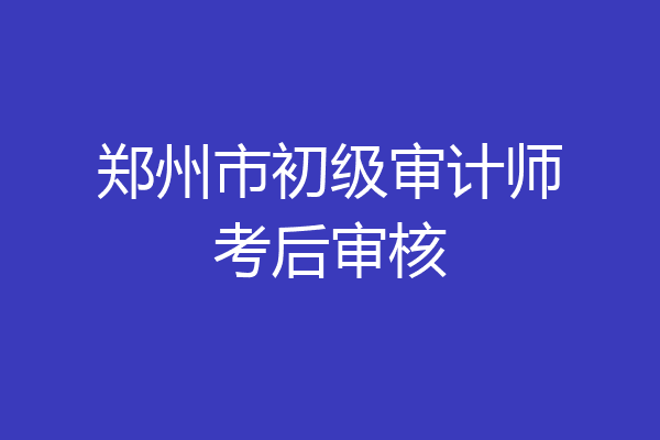 郑州市初级审计师考后审核