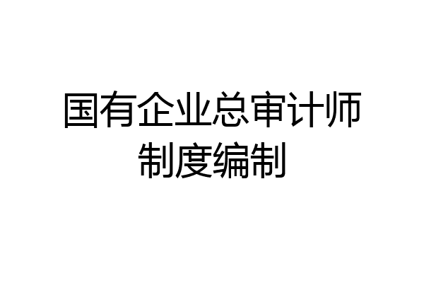 国有企业总审计师制度编制