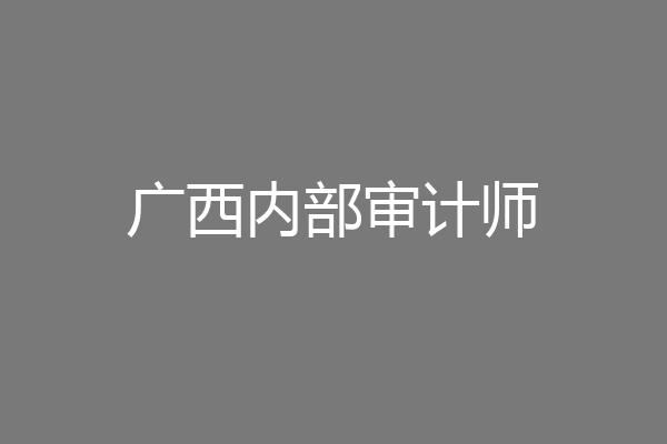 广西内部审计师