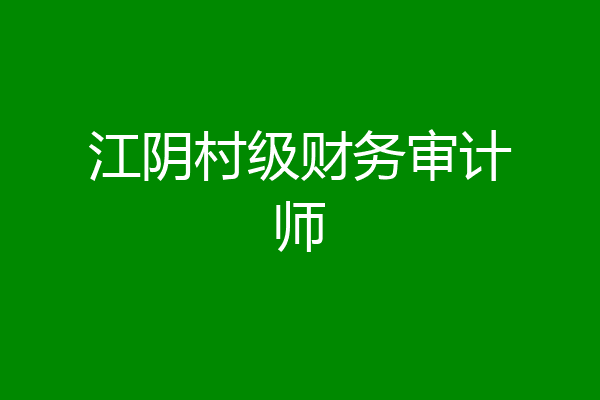 江阴村级财务审计师