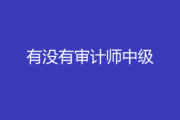 有没有审计师中级