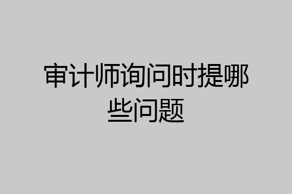 审计师询问时提哪些问题