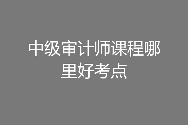中级审计师课程哪里好考点