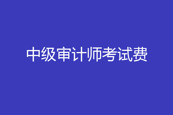 中级审计师考试费