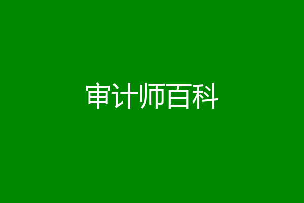 审计师百科
