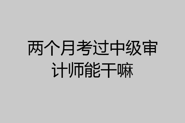 两个月考过中级审计师能干嘛