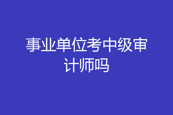 事业单位考中级审计师吗