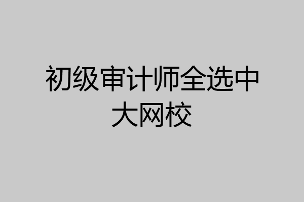 初级审计师全选中大网校