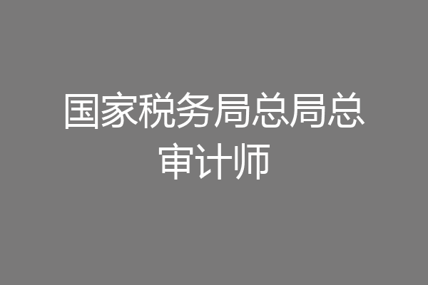 国家税务局总局总审计师