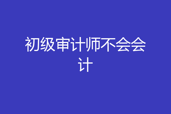 初级审计师不会会计
