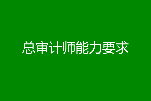 总审计师能力要求