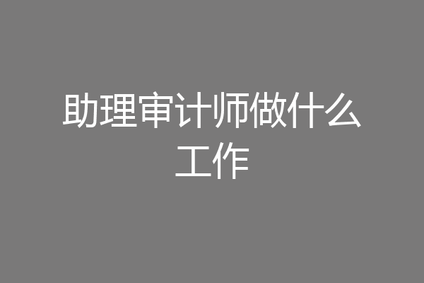 助理审计师做什么工作