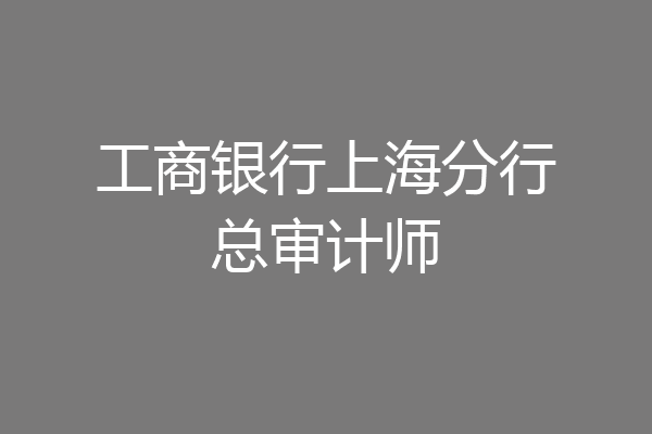 工商银行上海分行总审计师