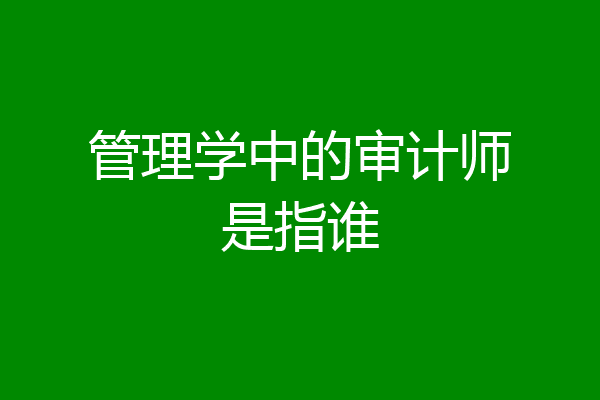 管理学中的审计师是指谁
