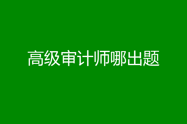 高级审计师哪出题