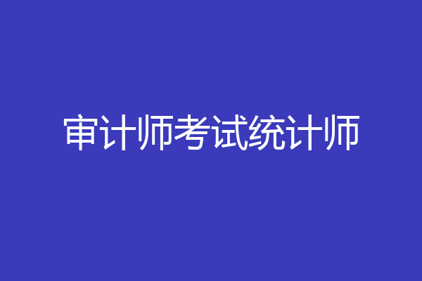 审计师考试统计师