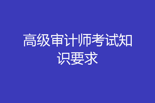 高级审计师考试知识要求