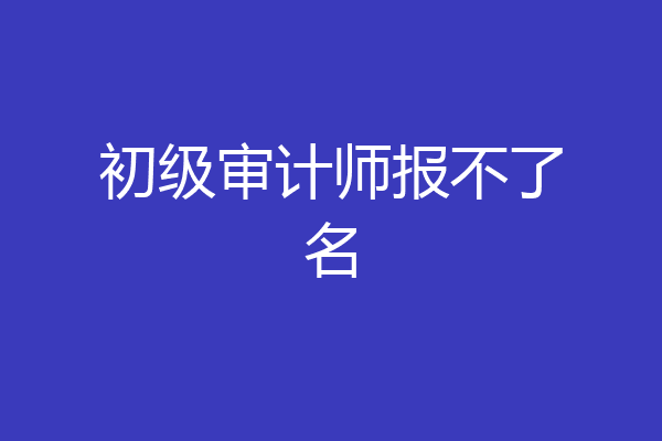 初级审计师报不了名
