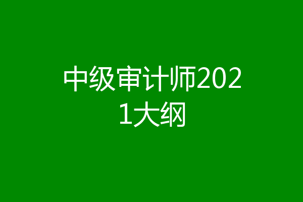 中级审计师2021大纲