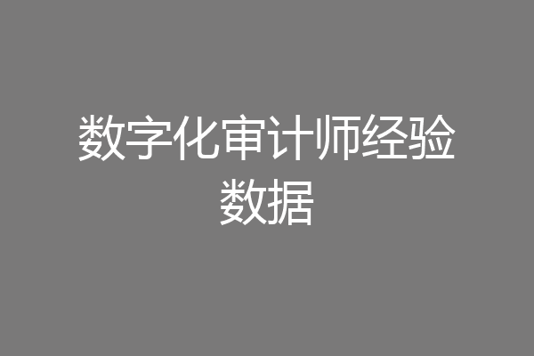 数字化审计师经验数据