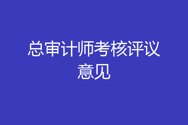 总审计师考核评议意见