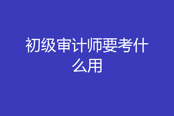 初级审计师要考什么用
