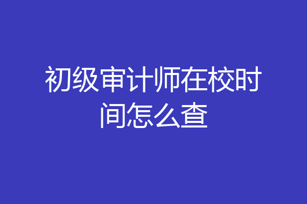 初级审计师在校时间怎么查