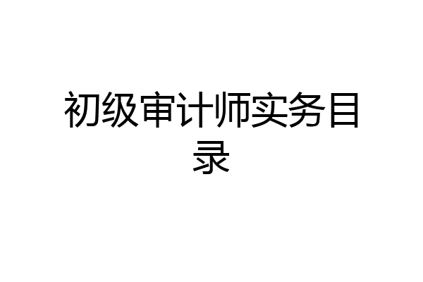 初级审计师实务目录