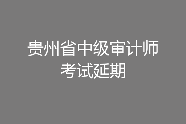 贵州省中级审计师考试延期