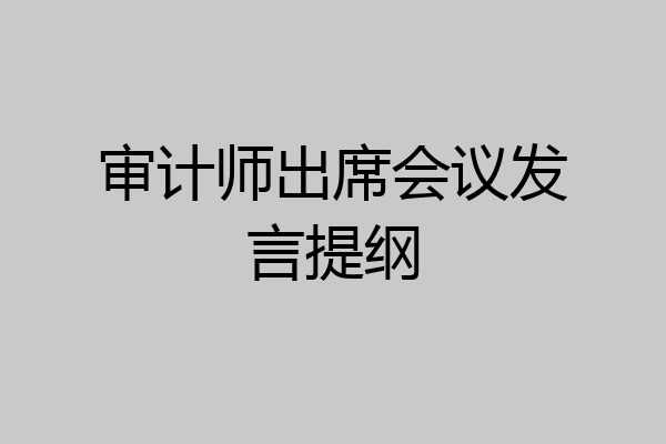 审计师出席会议发言提纲