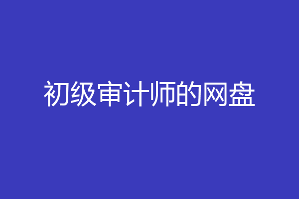 初级审计师的网盘
