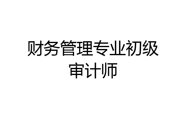财务管理专业初级审计师