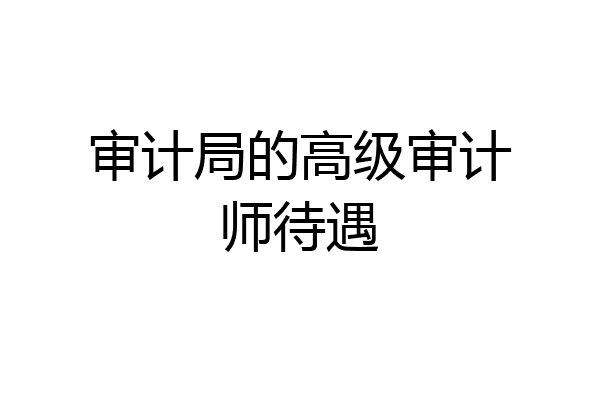 审计局的高级审计师待遇