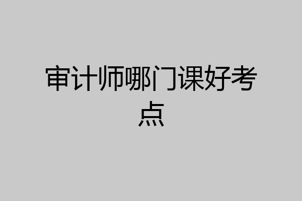 审计师哪门课好考点