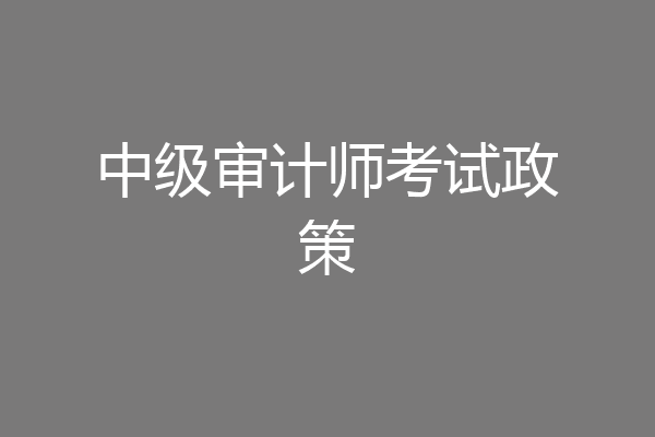 中级审计师考试政策
