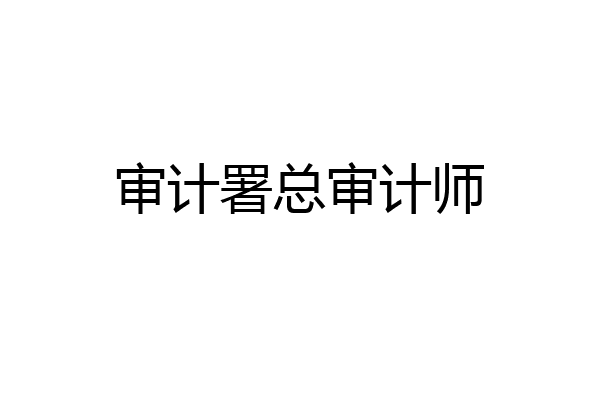 审计署总审计师