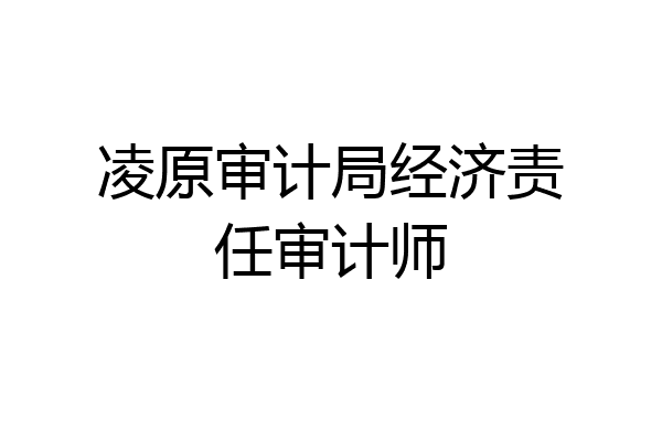 凌原审计局经济责任审计师