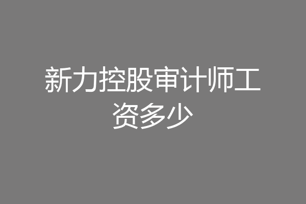 新力控股审计师工资多少