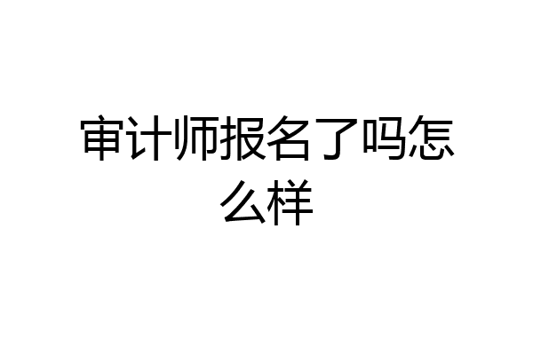 审计师报名了吗怎么样