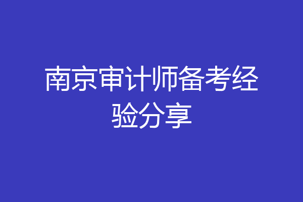 南京审计师备考经验分享